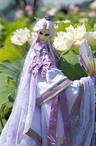 2011年7月12日（火）の画像