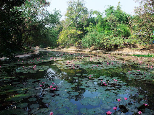 台南公園